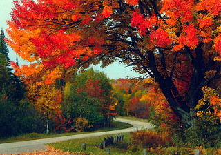 3836501355_059b04876a_n