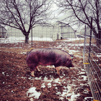 Screen Shot 2016-03-26 at 9.13.45 PM