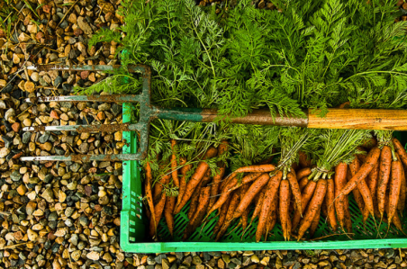 Screen Shot 2016-03-26 at 9.18.19 PM